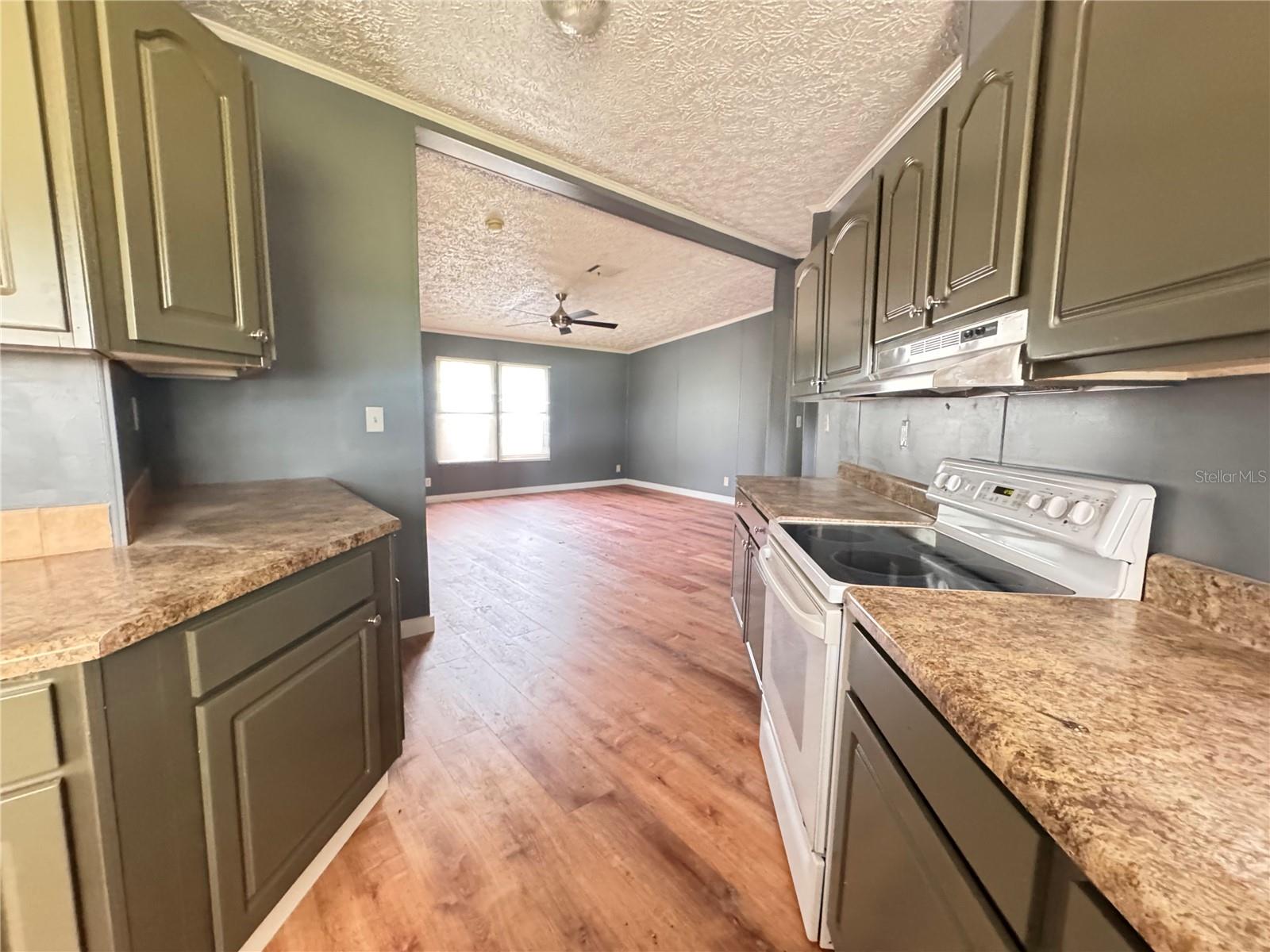 3761 NE BONANZA PARK AVE, ARCADIA, FL, 34266