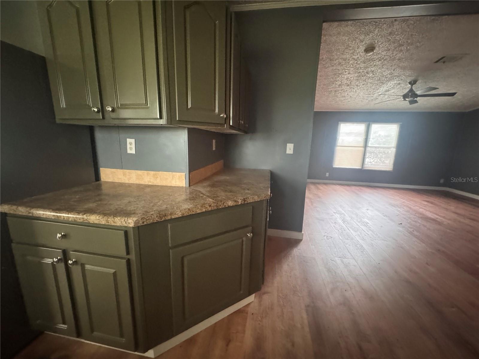 3761 NE BONANZA PARK AVE, ARCADIA, FL, 34266