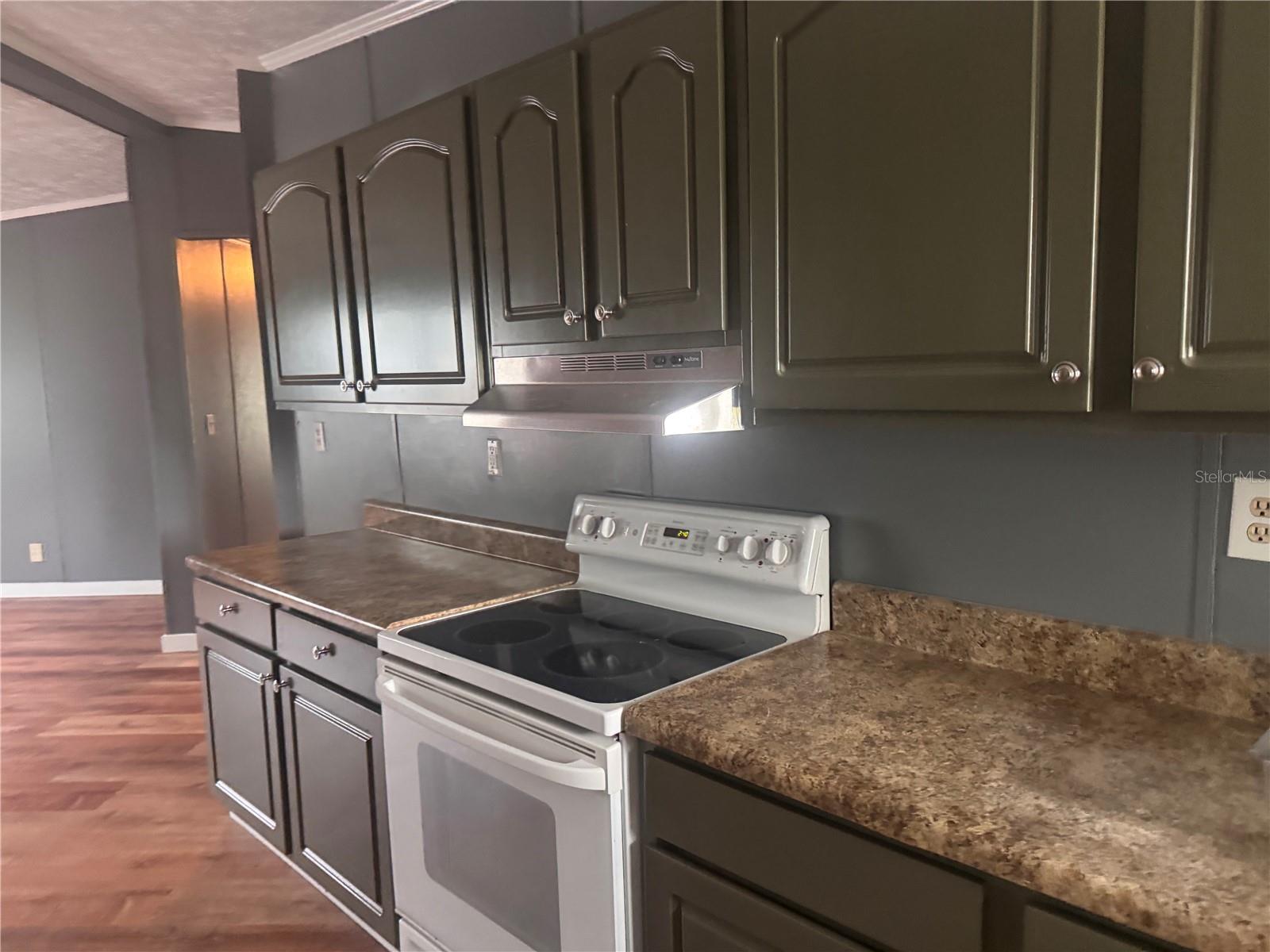 3761 NE BONANZA PARK AVE, ARCADIA, FL, 34266