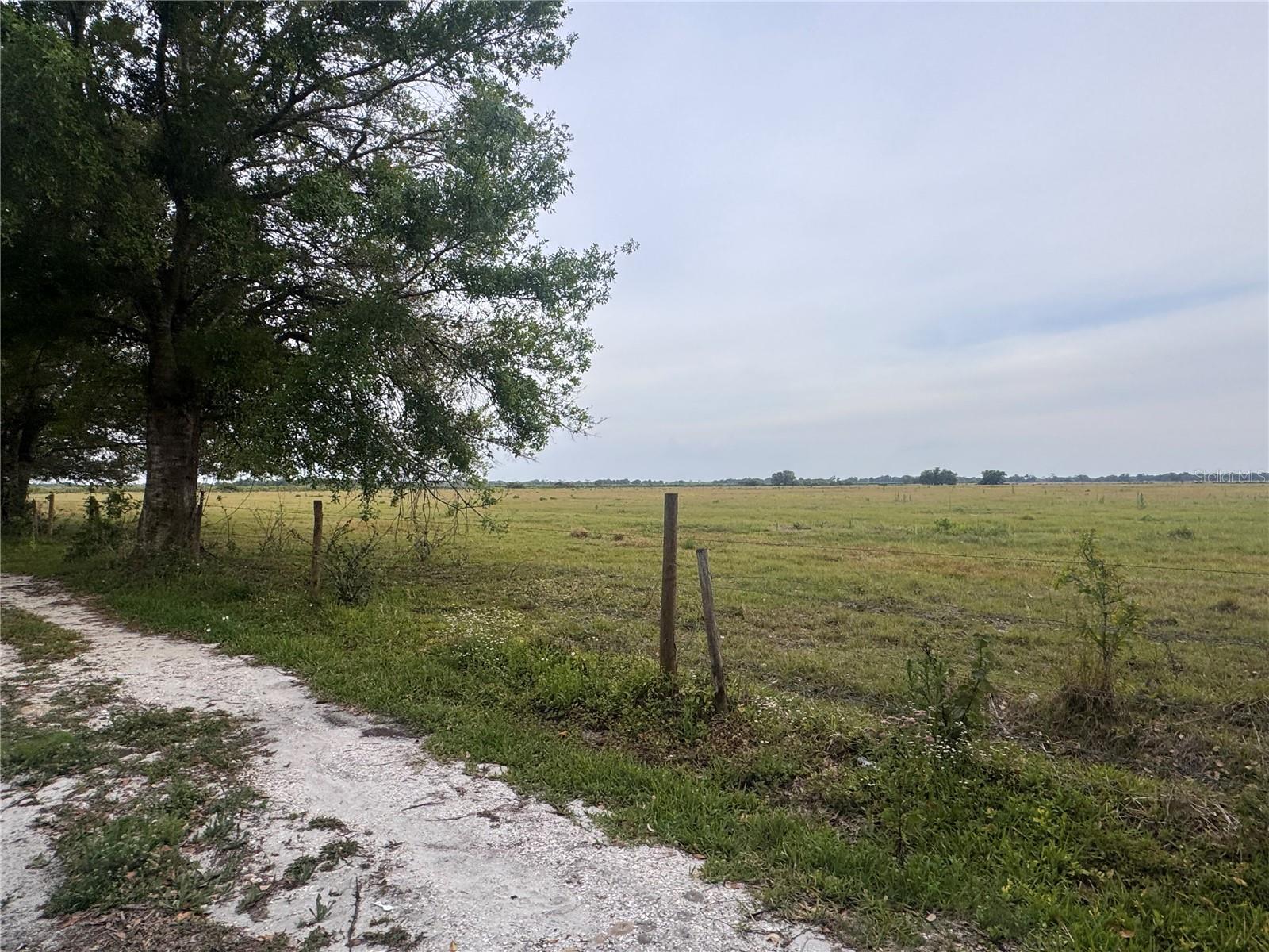 3761 NE BONANZA PARK AVE, ARCADIA, FL, 34266