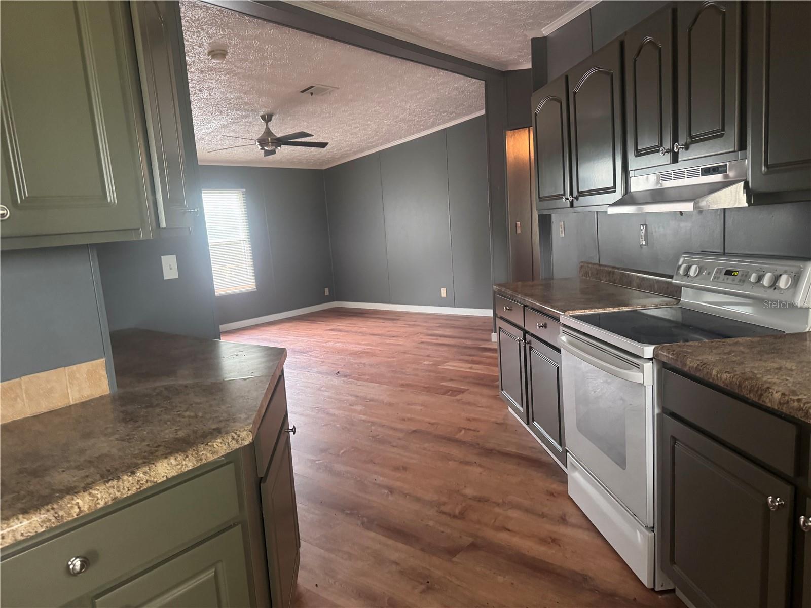 3761 NE BONANZA PARK AVE, ARCADIA, FL, 34266