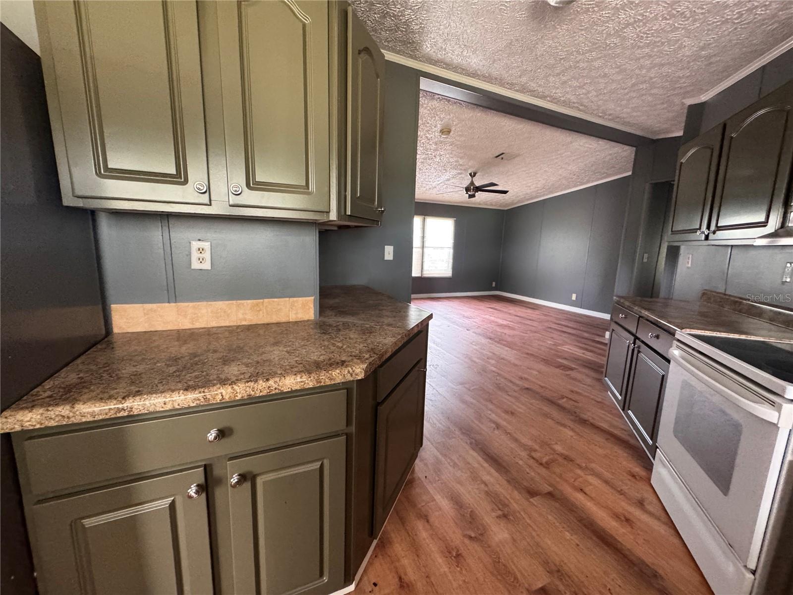 3761 NE BONANZA PARK AVE, ARCADIA, FL, 34266