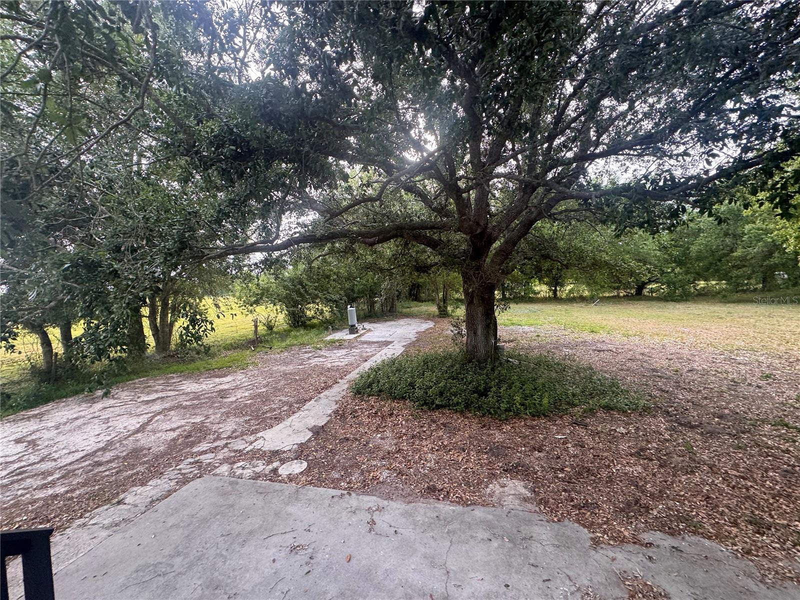 3761 NE BONANZA PARK AVE, ARCADIA, FL, 34266