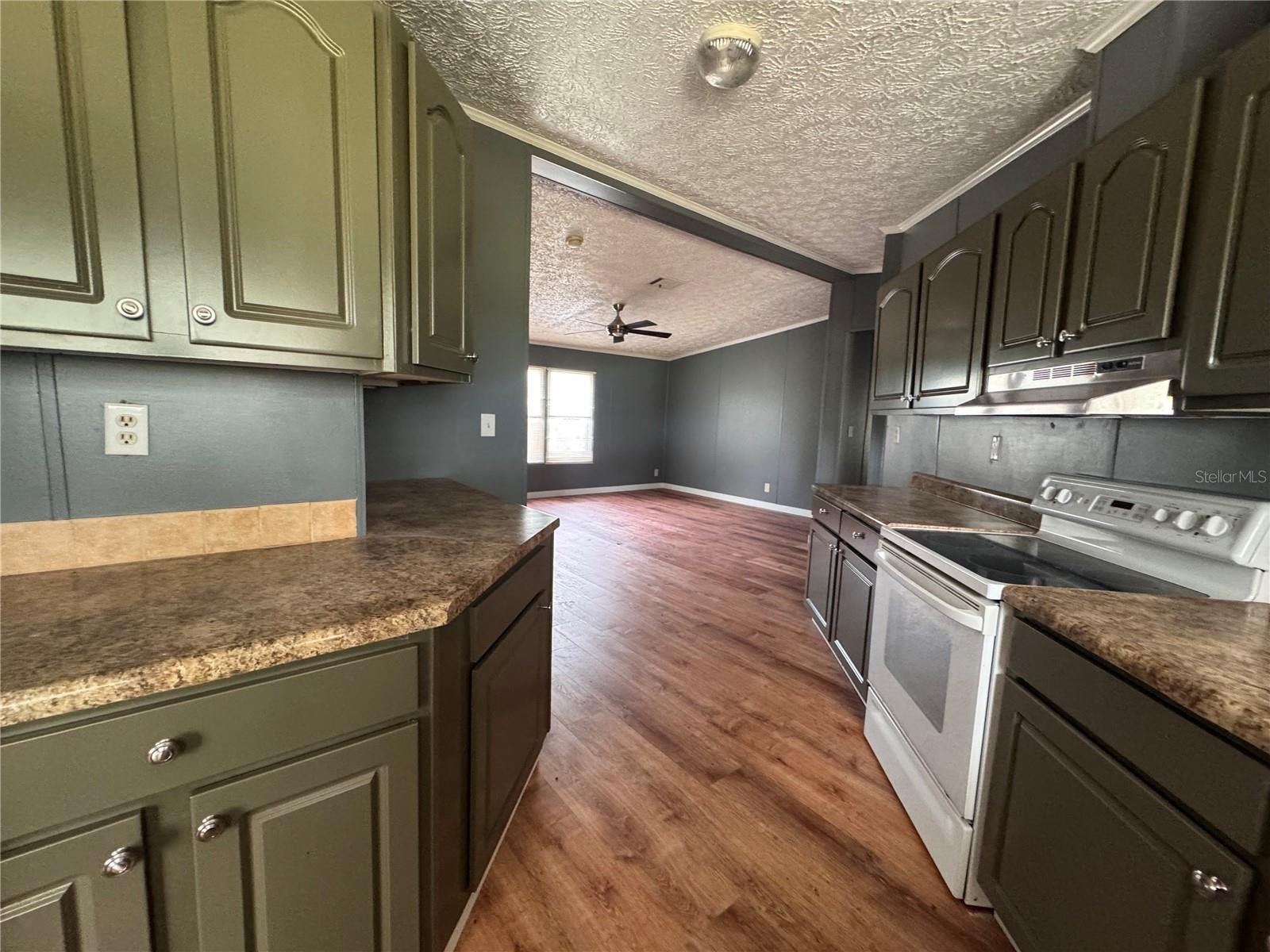 3761 NE BONANZA PARK AVE, ARCADIA, FL, 34266