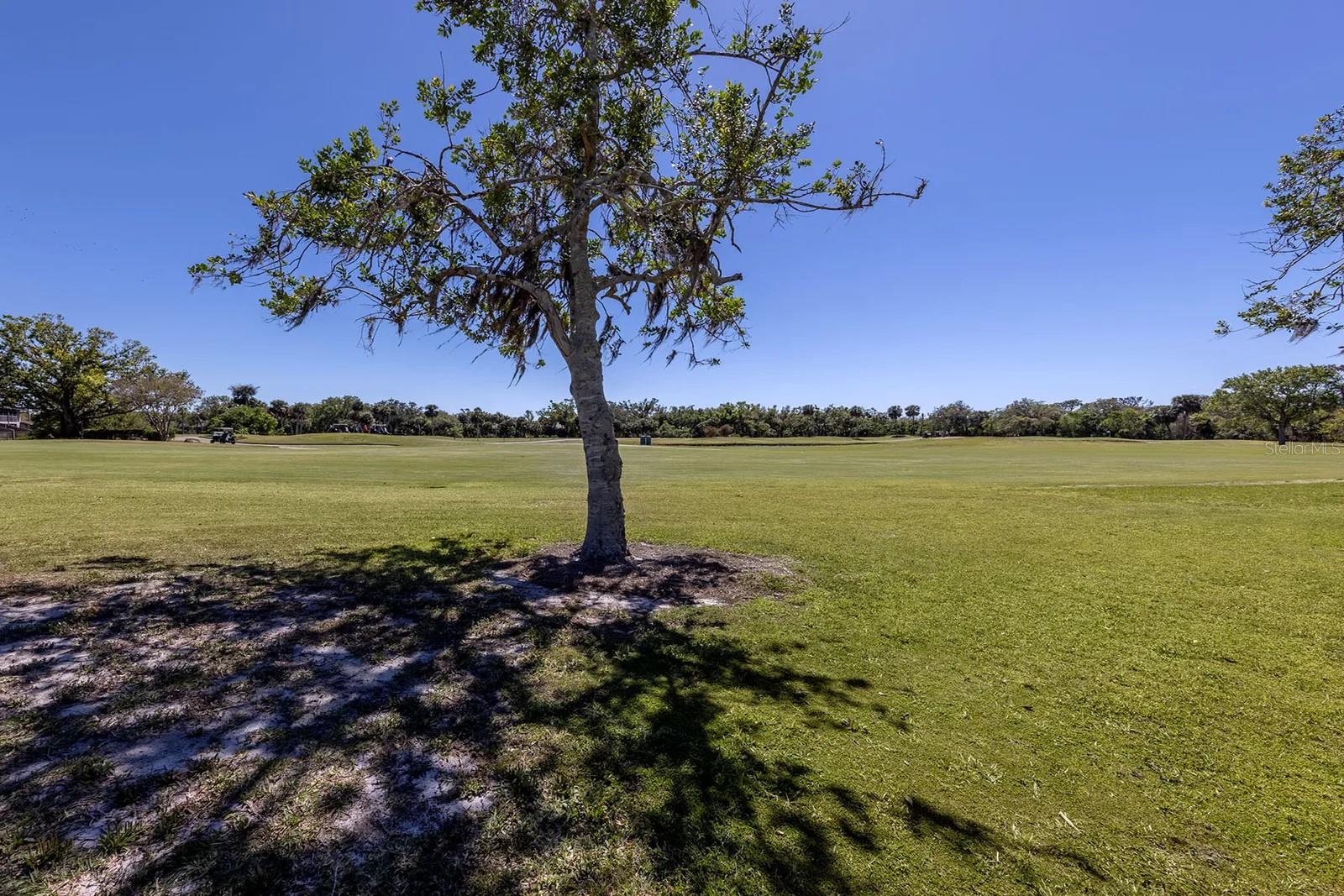 1041 CAPRI ISLES BLVD #232, VENICE, FL, 34292