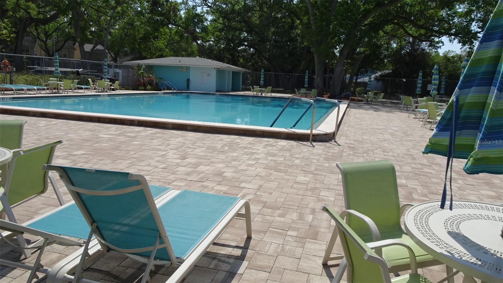 2101 FOX CHASE BLVD #102, PALM HARBOR, FL, 34683