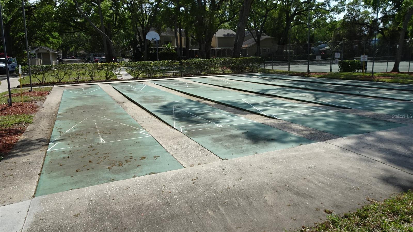 2101 FOX CHASE BLVD #102, PALM HARBOR, FL, 34683