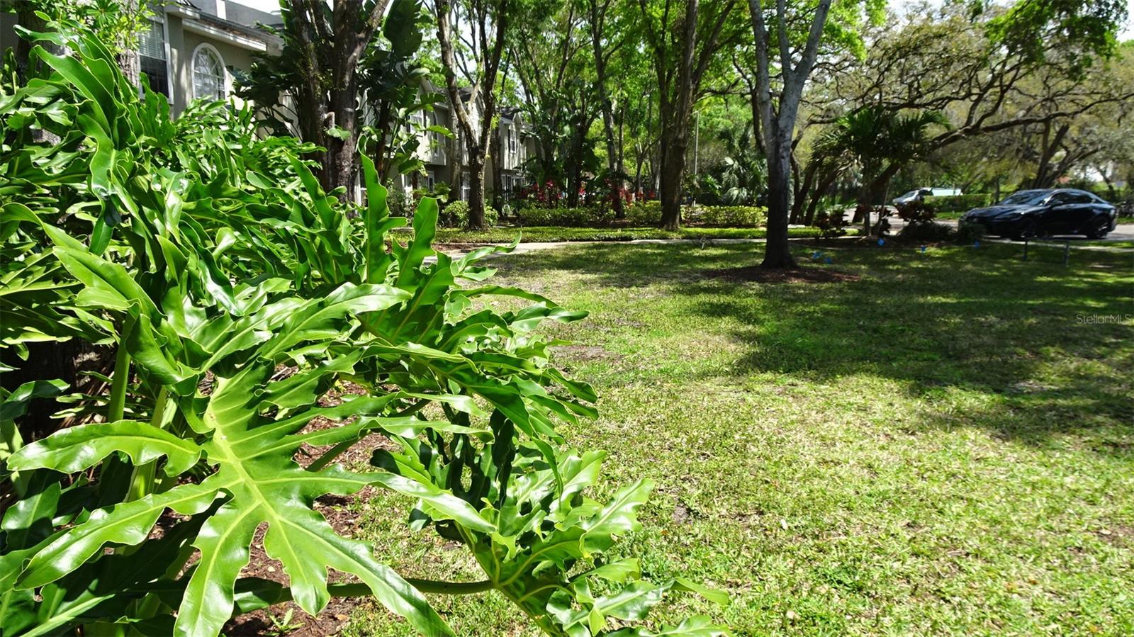2101 FOX CHASE BLVD #102, PALM HARBOR, FL, 34683