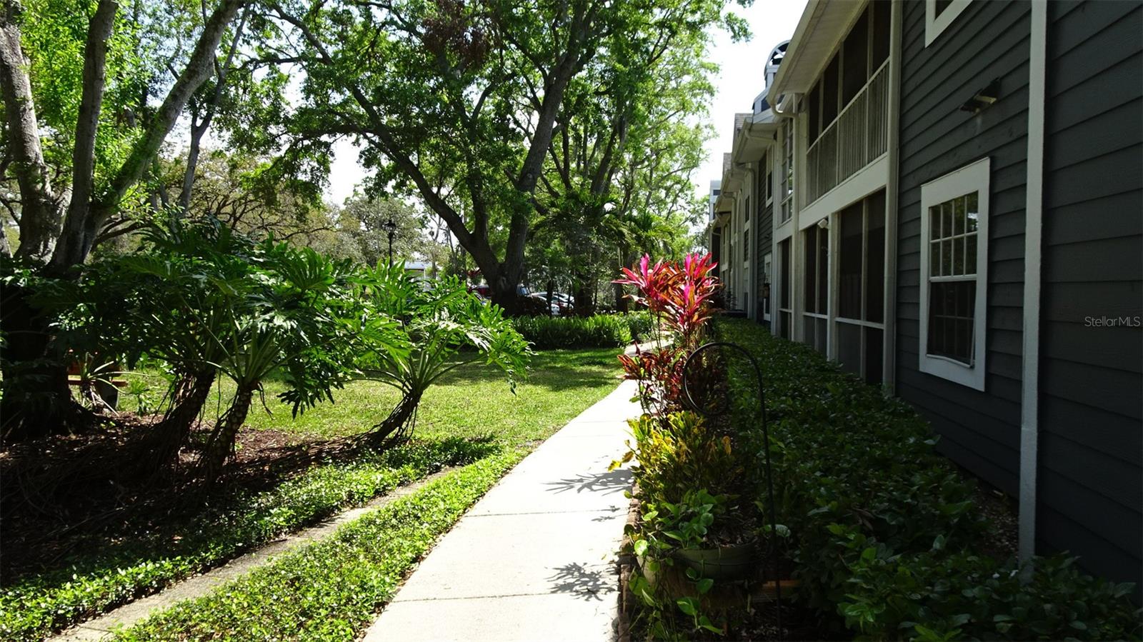 2101 FOX CHASE BLVD #102, PALM HARBOR, FL, 34683