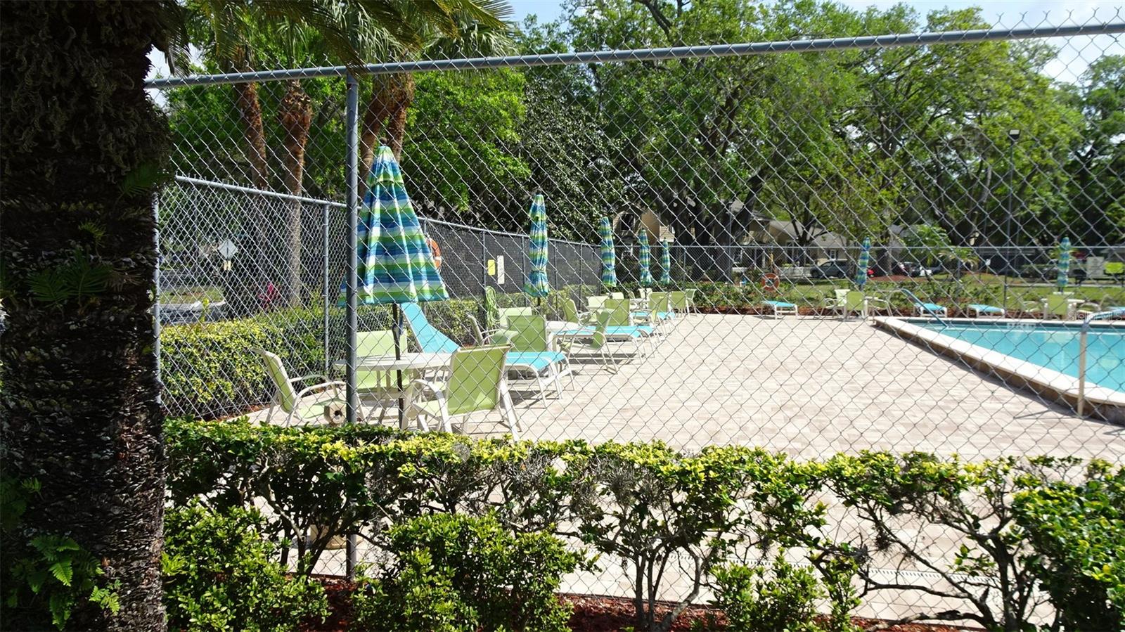 2101 FOX CHASE BLVD #102, PALM HARBOR, FL, 34683