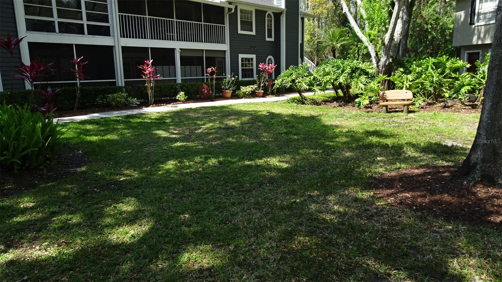 2101 FOX CHASE BLVD #102, PALM HARBOR, FL, 34683