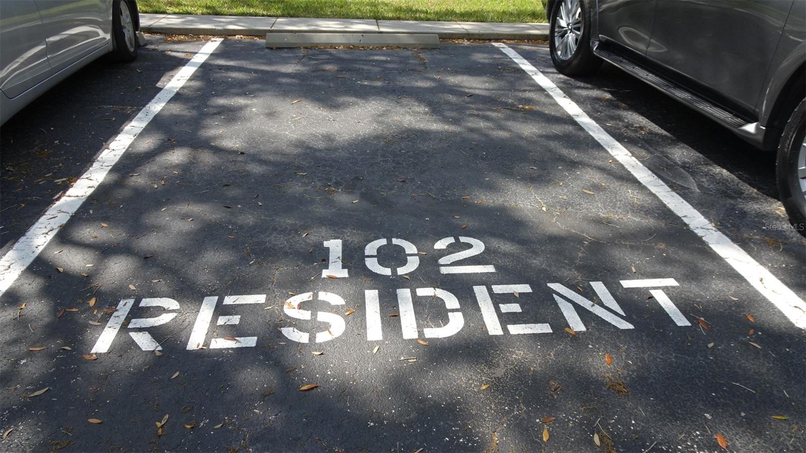 2101 FOX CHASE BLVD #102, PALM HARBOR, FL, 34683