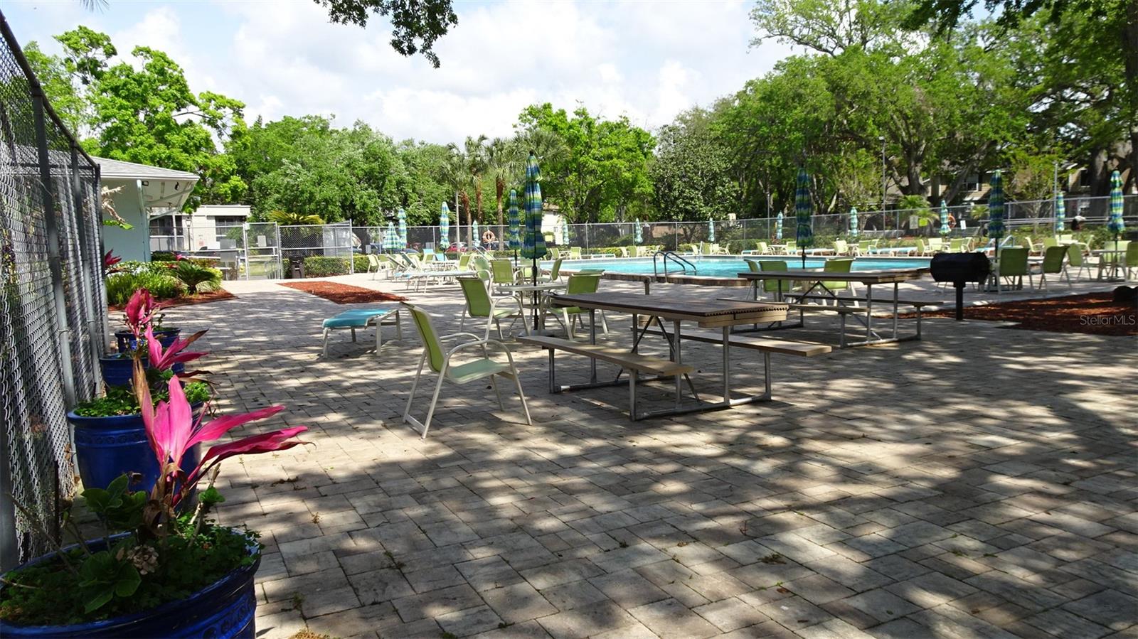 2101 FOX CHASE BLVD #102, PALM HARBOR, FL, 34683