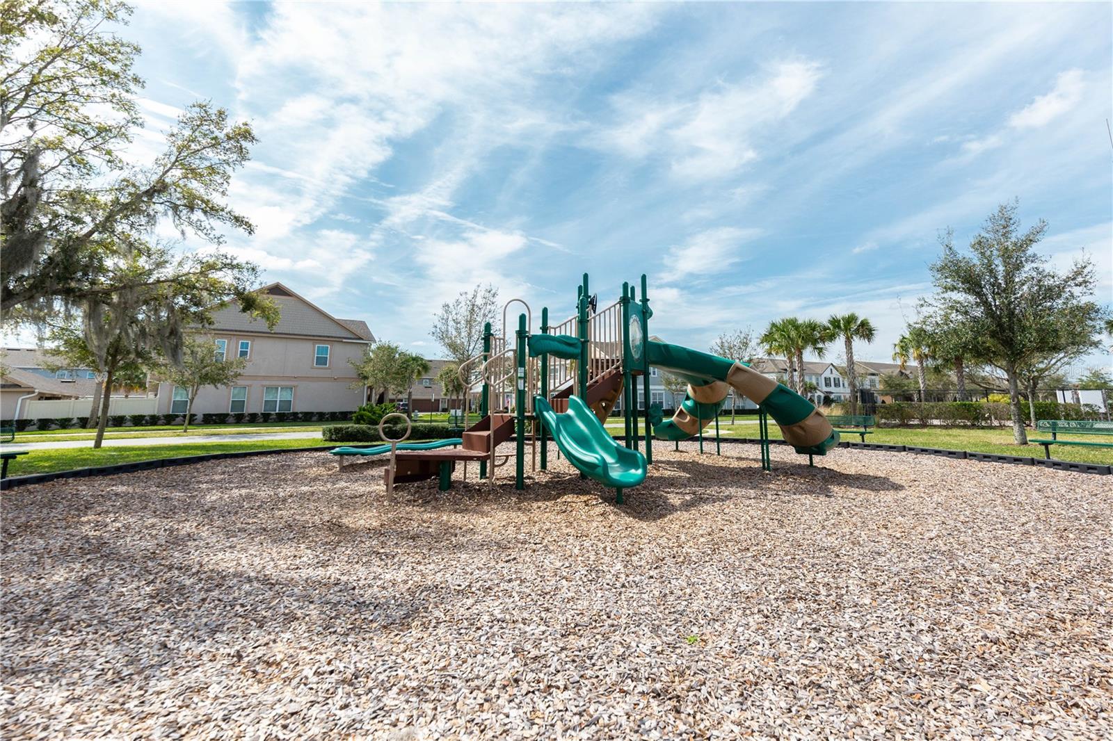 7237 RAMBLING WATER WAY, WINDERMERE, FL, 34786