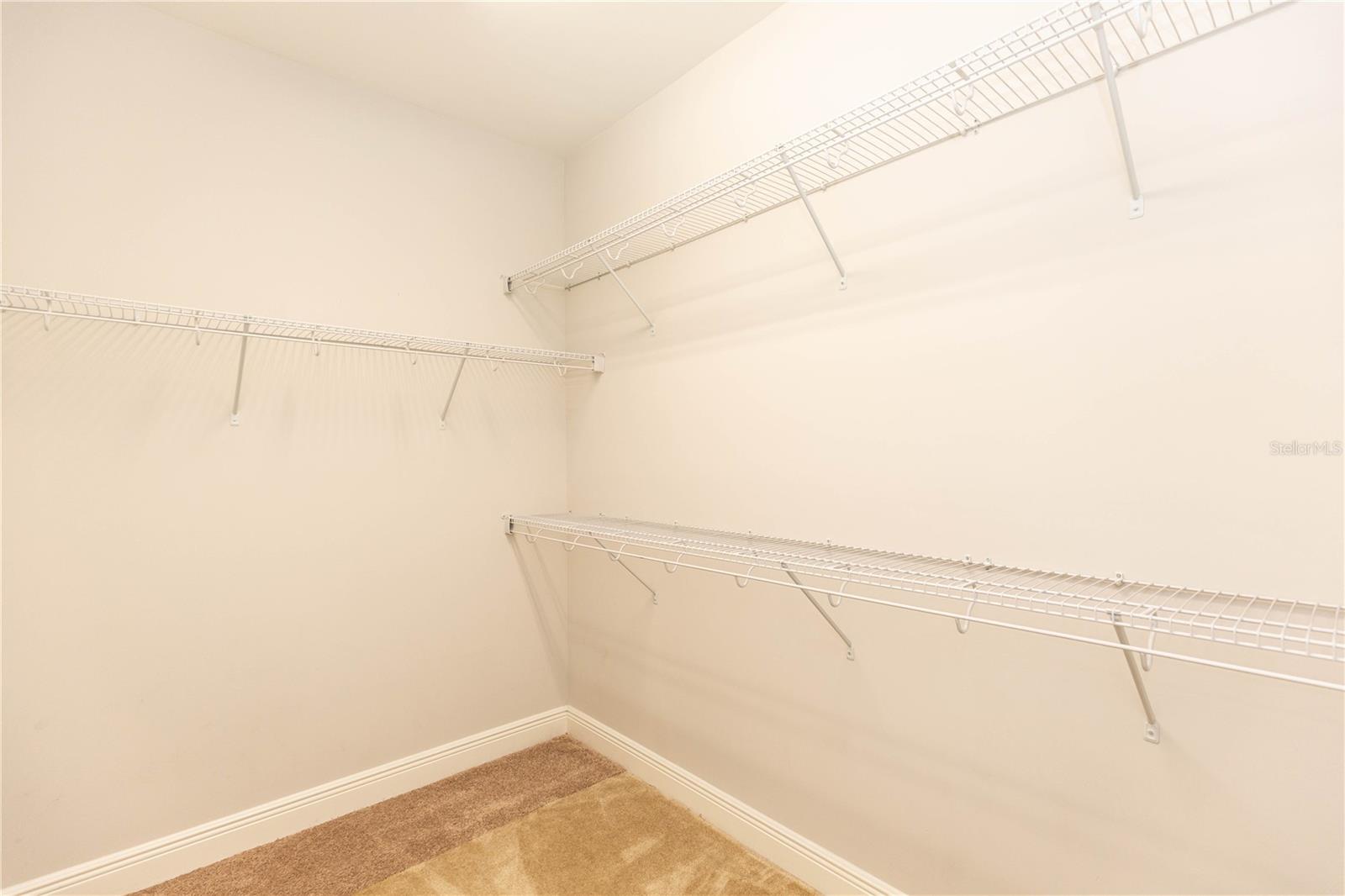 7237 RAMBLING WATER WAY, WINDERMERE, FL, 34786