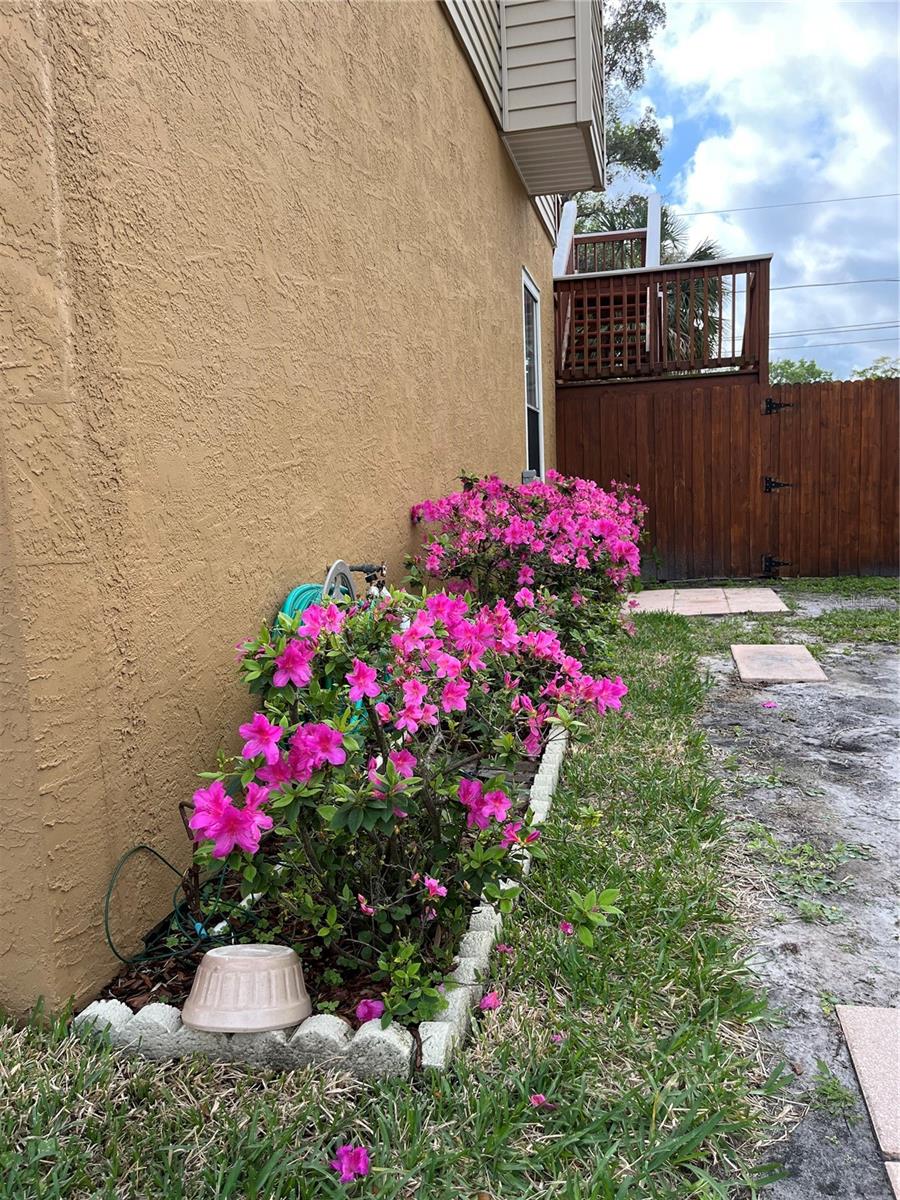 856 WISCONSIN AVE, PALM HARBOR, FL, 34683