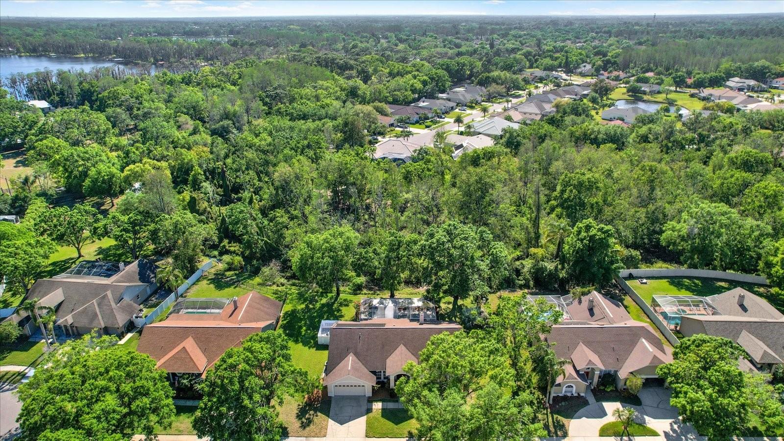 17108 LONGACRES LN, ODESSA, FL, 33556