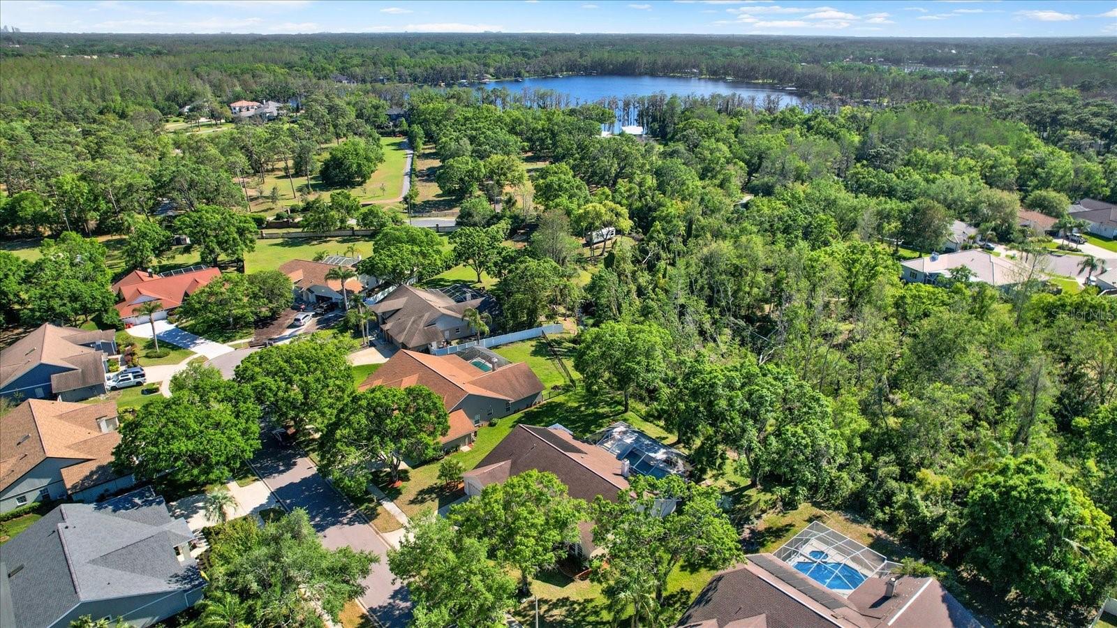 17108 LONGACRES LN, ODESSA, FL, 33556