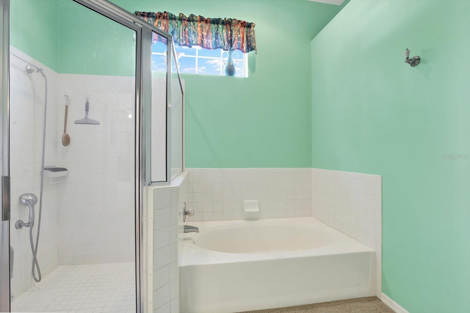 17108 LONGACRES LN, ODESSA, FL, 33556
