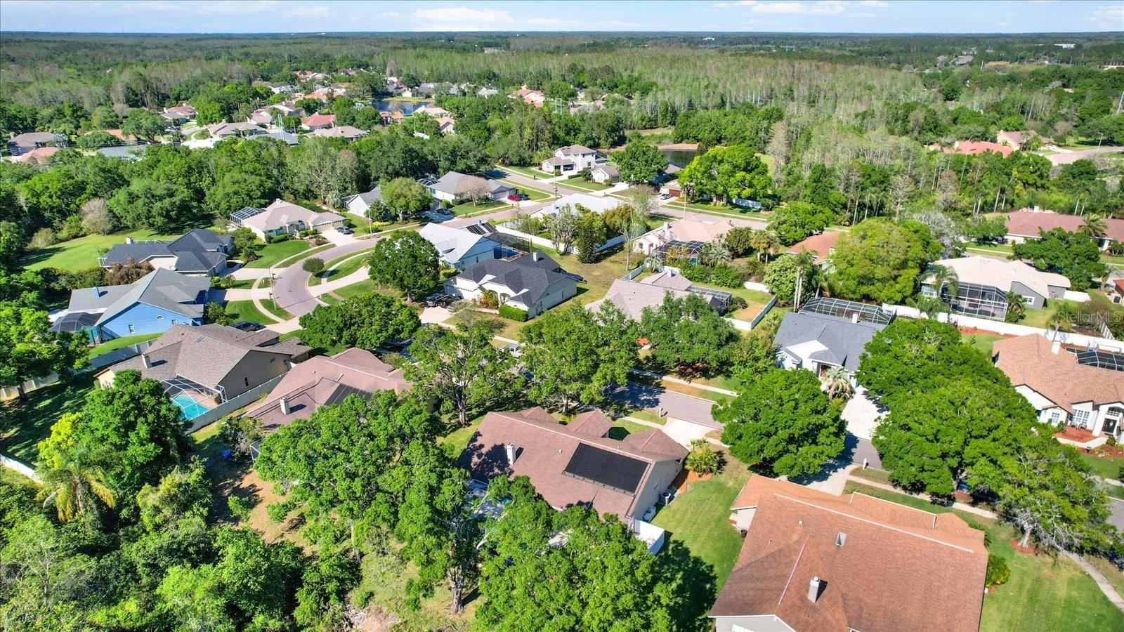 17108 LONGACRES LN, ODESSA, FL, 33556