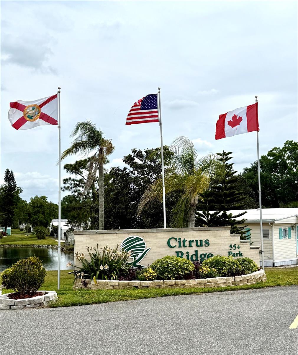 262 CITRUS RIDGE DR, DAVENPORT, FL, 33837
