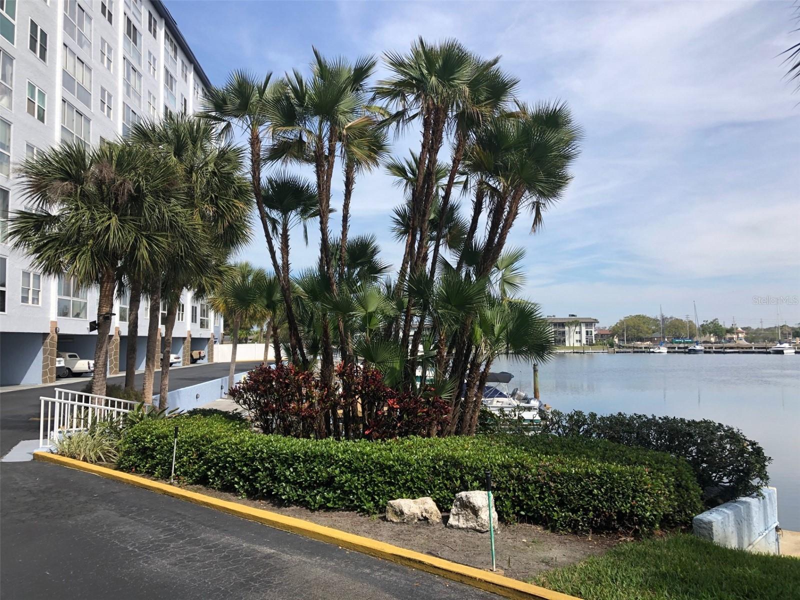 4939 FLORAMAR TER #810, NEW PORT RICHEY, FL, 34652