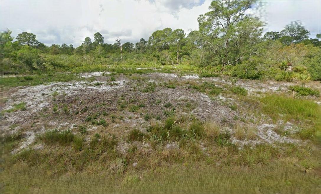GREENFIELD ST, LAKE PLACID, FL, 33852