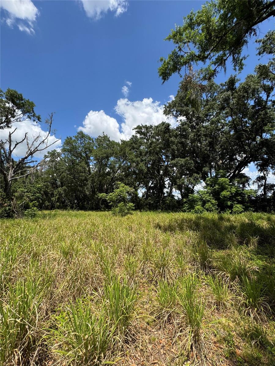 4202 DRAWDY RD, PLANT CITY, FL, 33567