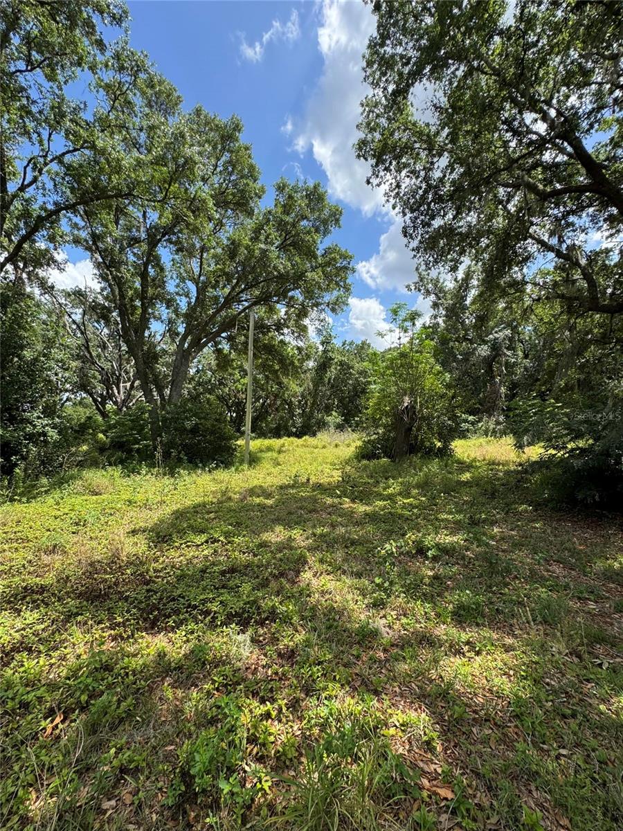 4202 DRAWDY RD, PLANT CITY, FL, 33567