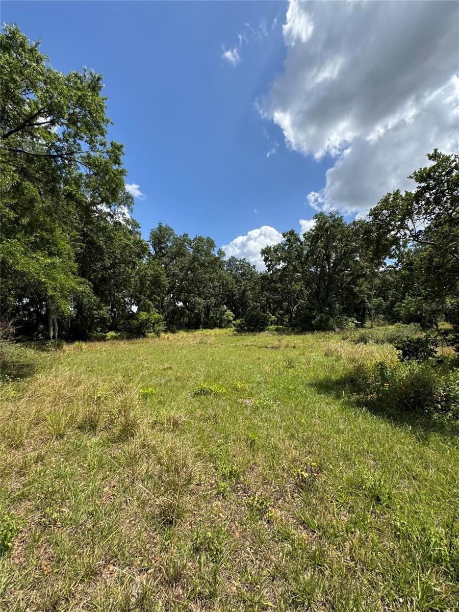 4202 DRAWDY RD, PLANT CITY, FL, 33567