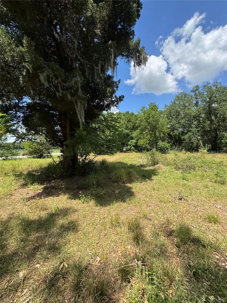 4202 DRAWDY RD, PLANT CITY, FL, 33567