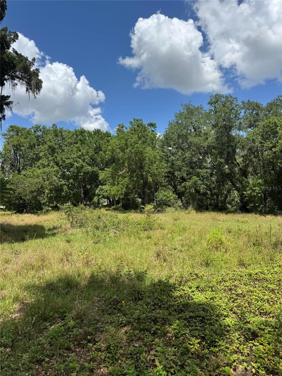 4202 DRAWDY RD, PLANT CITY, FL, 33567