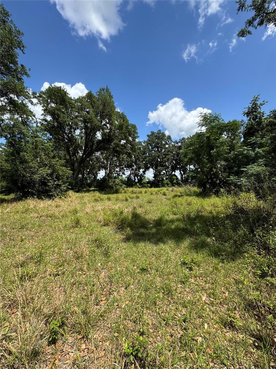 4202 DRAWDY RD, PLANT CITY, FL, 33567