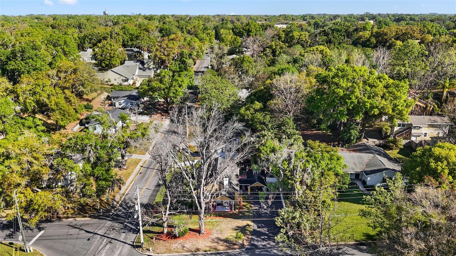 102 N CLAYTON ST N, MOUNT DORA, FL, 32757