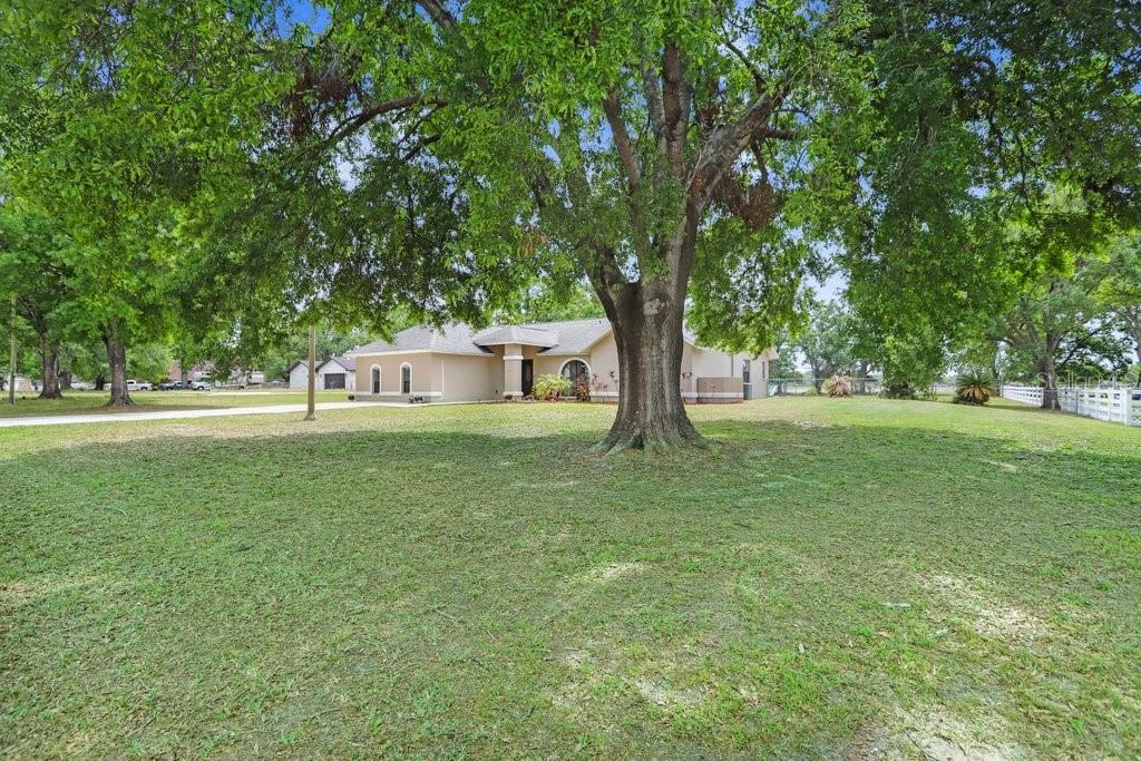 13109 LILITA AVE, DOVER, FL, 33527