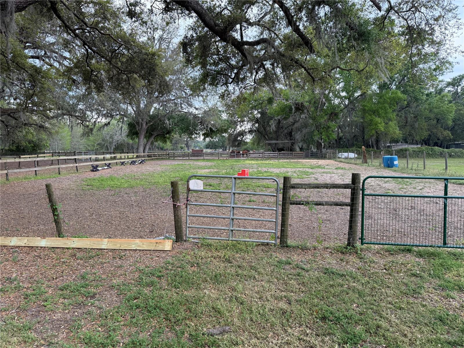 1010 COUNTY ROAD 416N, LAKE PANASOFFKEE, FL, 33538