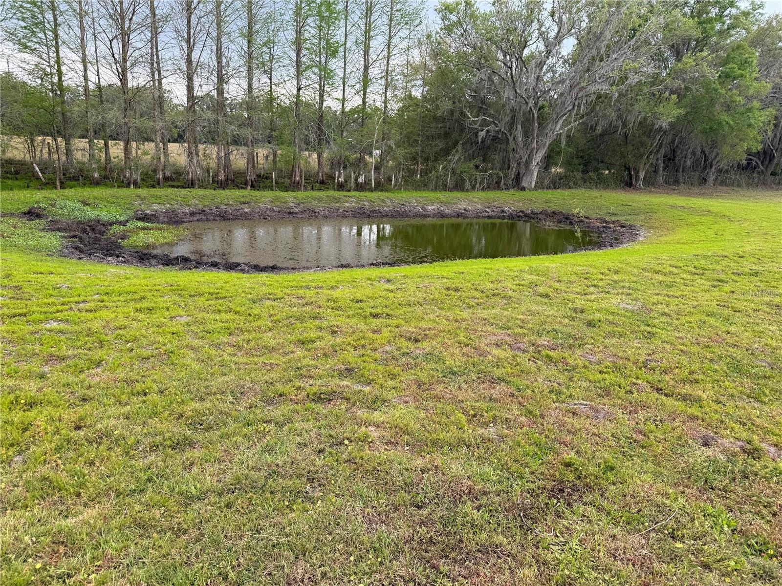 1010 COUNTY ROAD 416N, LAKE PANASOFFKEE, FL, 33538