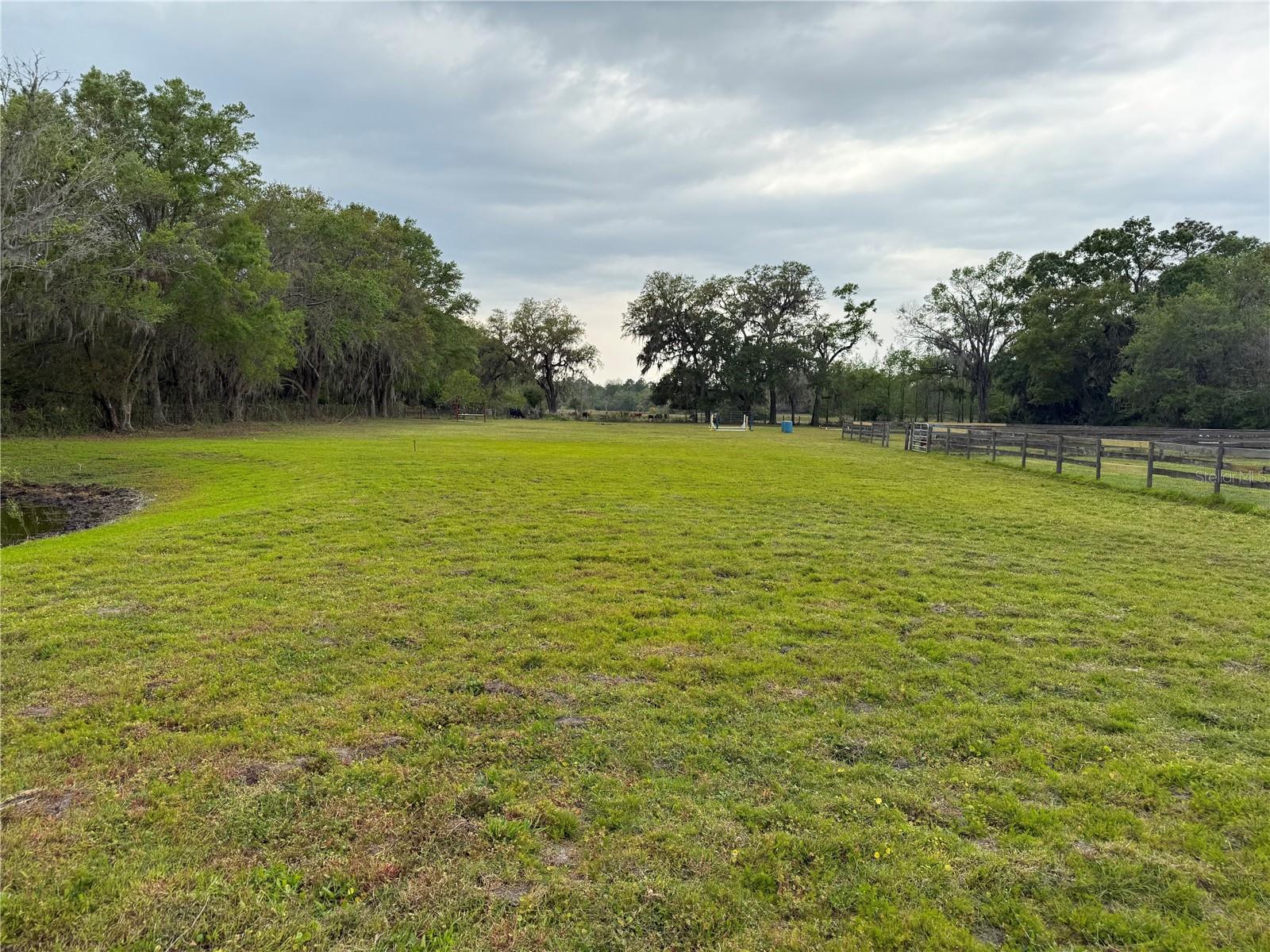 1010 COUNTY ROAD 416N, LAKE PANASOFFKEE, FL, 33538