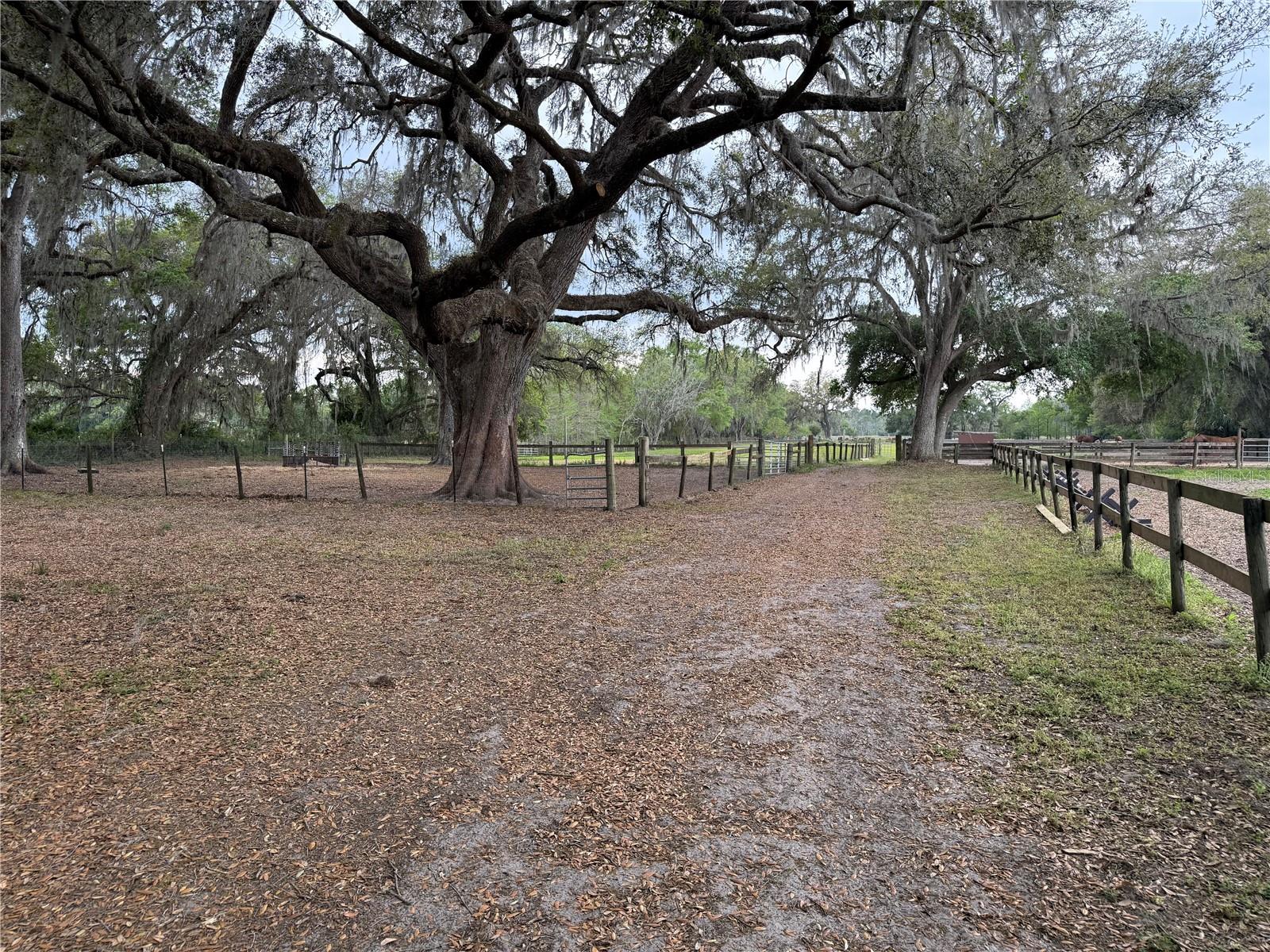 1010 COUNTY ROAD 416N, LAKE PANASOFFKEE, FL, 33538