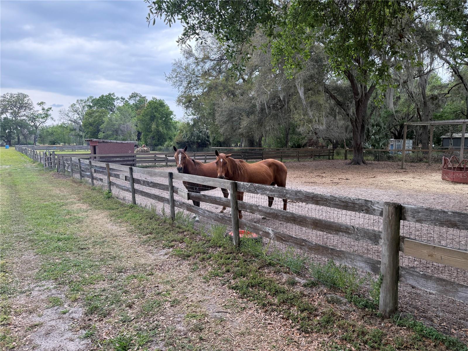1010 COUNTY ROAD 416N, LAKE PANASOFFKEE, FL, 33538
