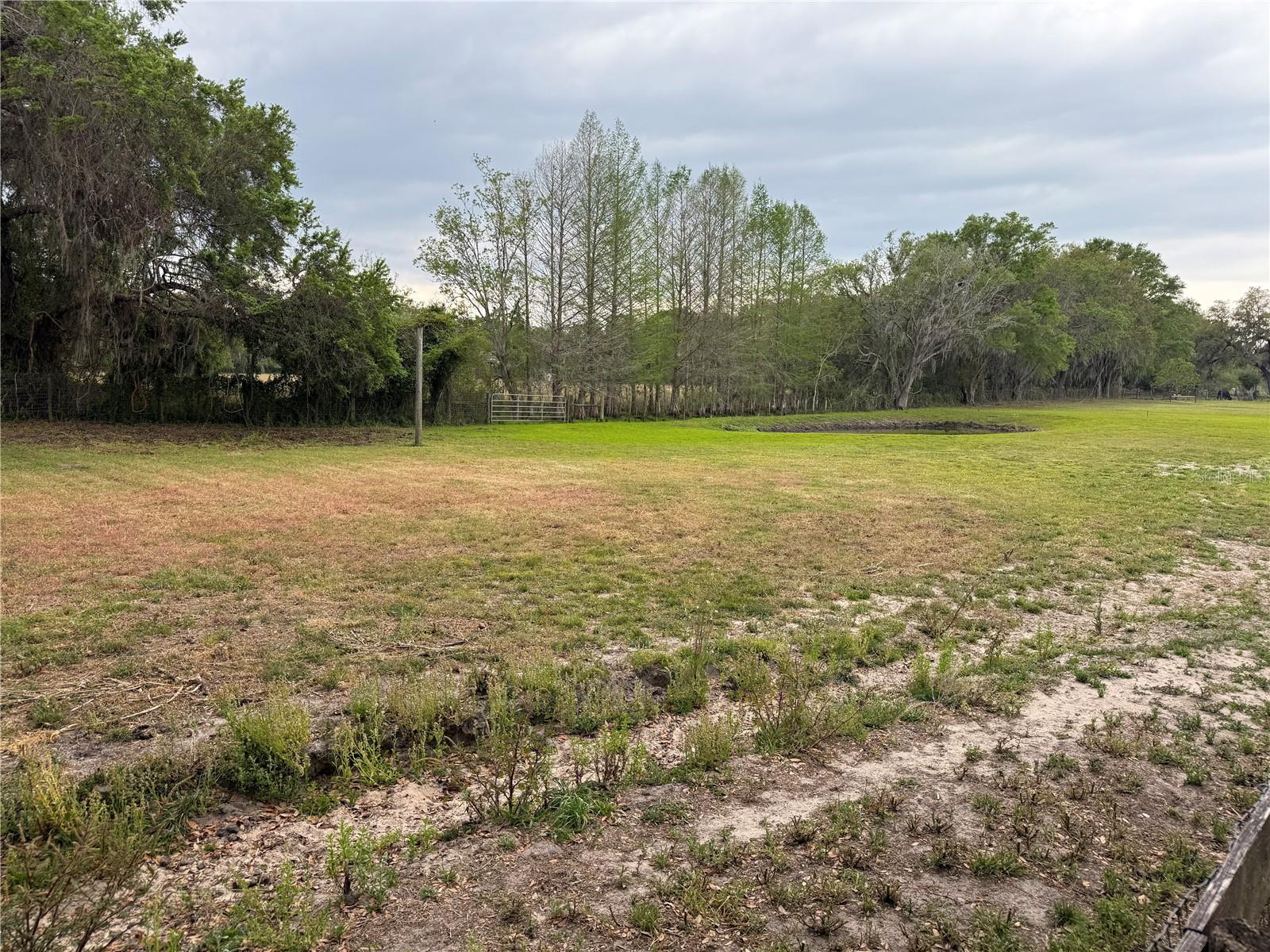 1010 COUNTY ROAD 416N, LAKE PANASOFFKEE, FL, 33538
