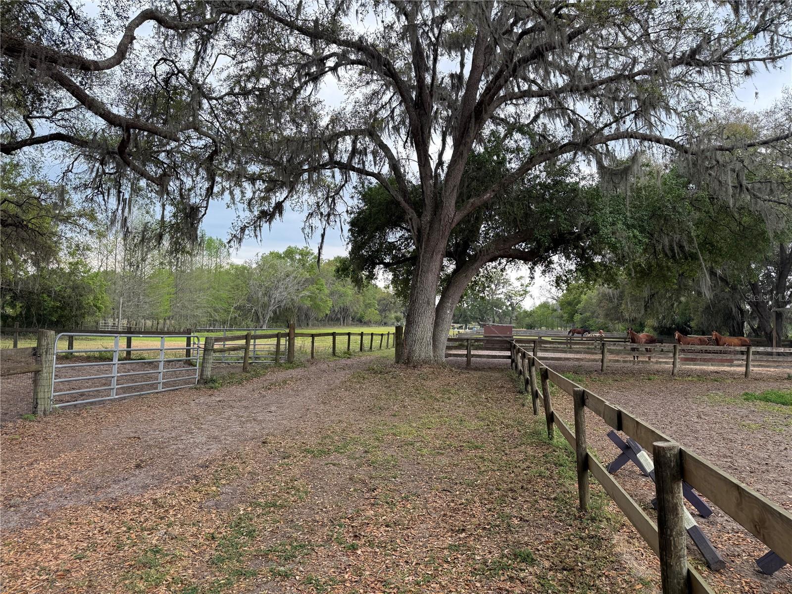 1010 COUNTY ROAD 416N, LAKE PANASOFFKEE, FL, 33538