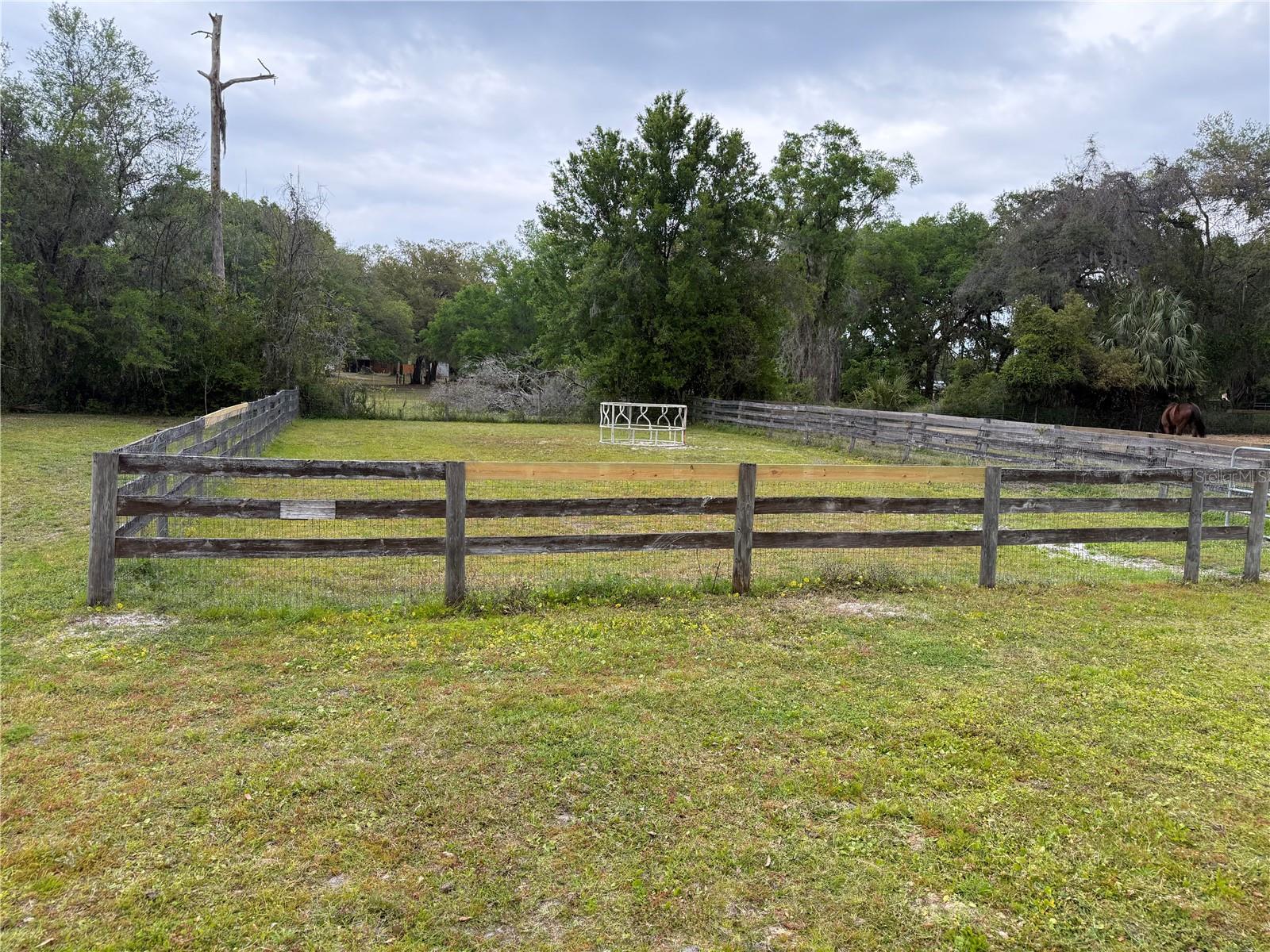 1010 COUNTY ROAD 416N, LAKE PANASOFFKEE, FL, 33538