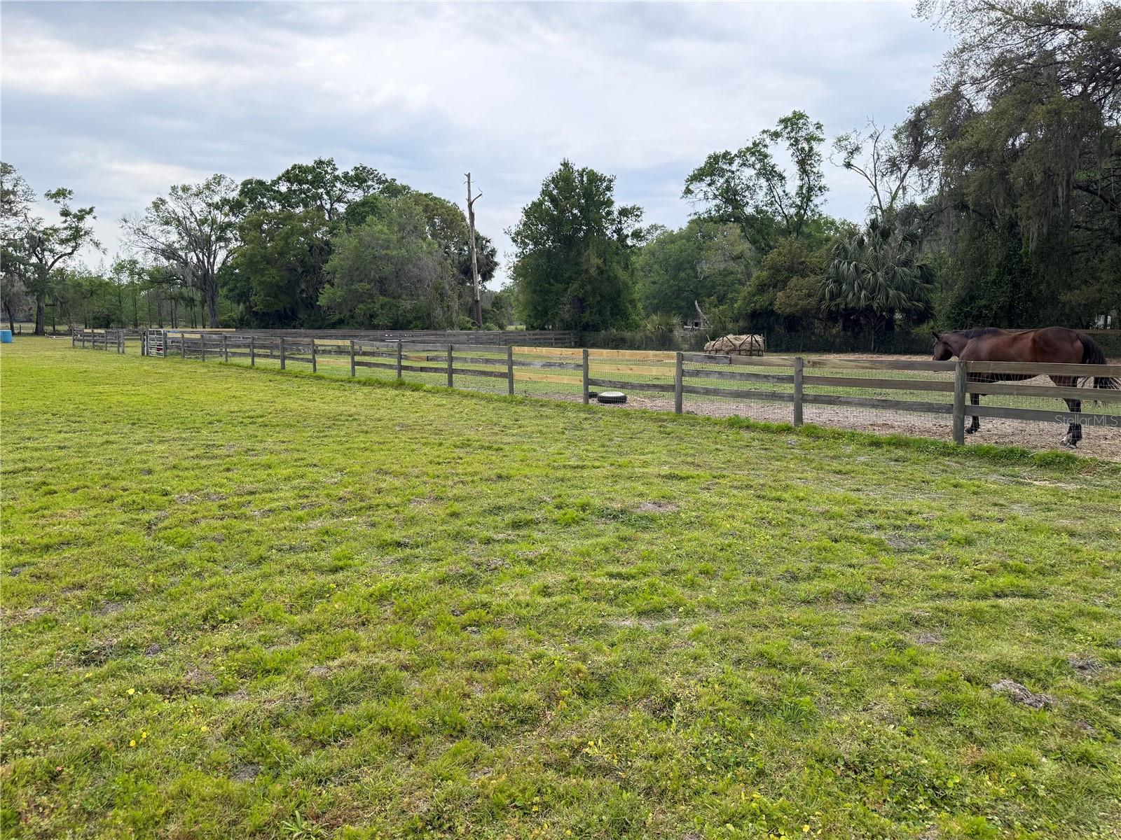 1010 COUNTY ROAD 416N, LAKE PANASOFFKEE, FL, 33538