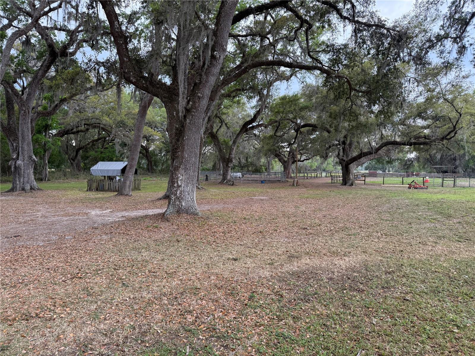 1010 COUNTY ROAD 416N, LAKE PANASOFFKEE, FL, 33538