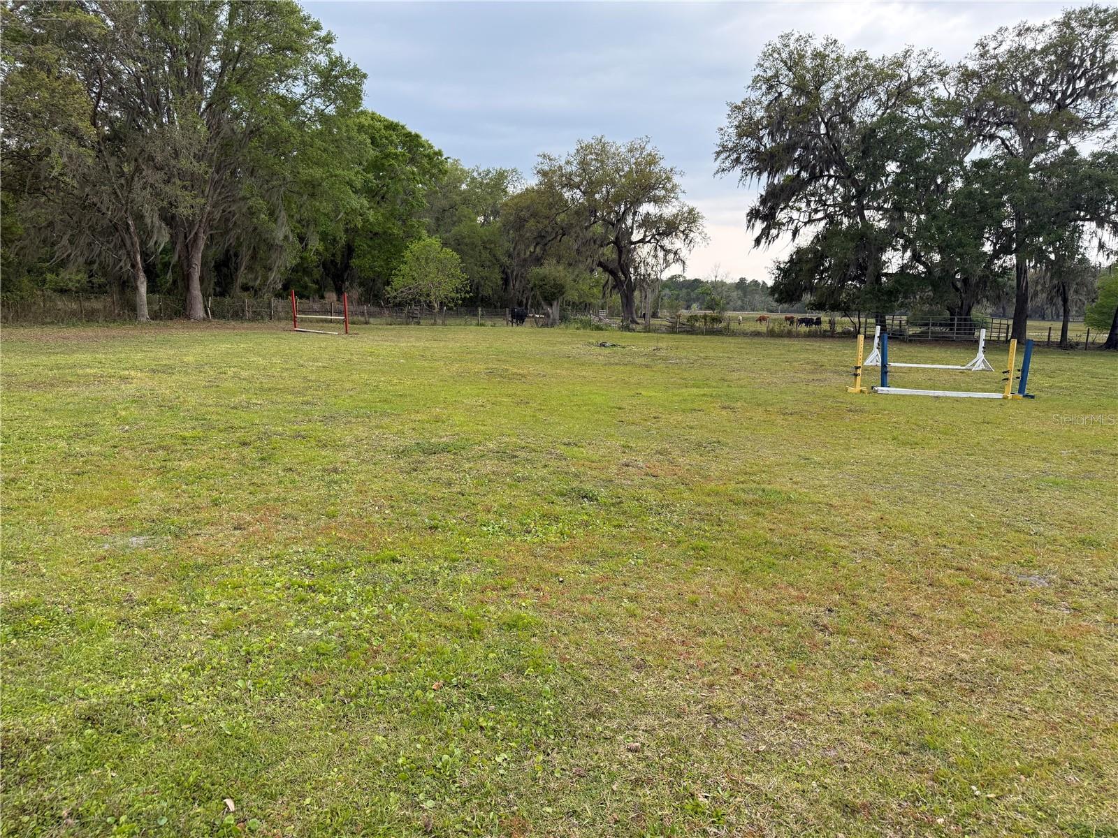 1010 COUNTY ROAD 416N, LAKE PANASOFFKEE, FL, 33538