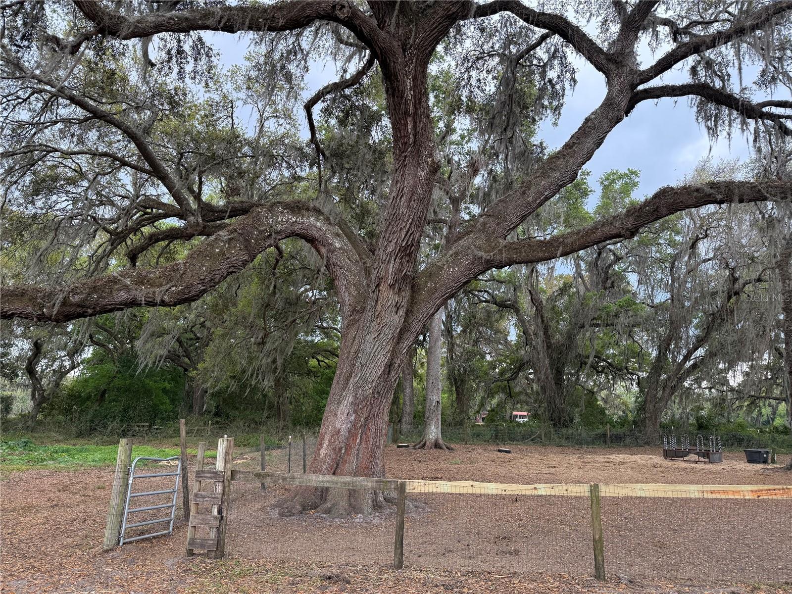 1010 COUNTY ROAD 416N, LAKE PANASOFFKEE, FL, 33538
