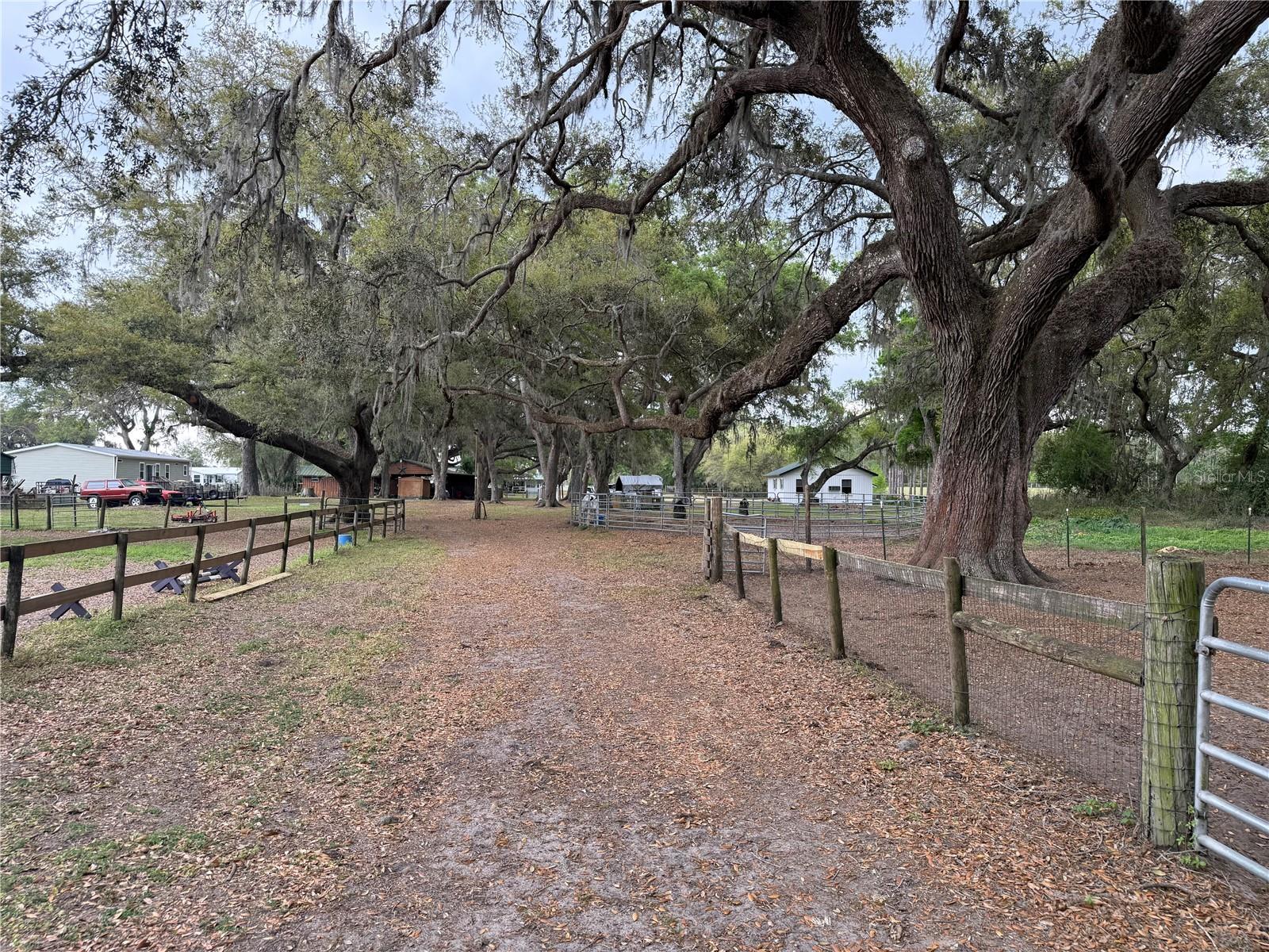 1010 COUNTY ROAD 416N, LAKE PANASOFFKEE, FL, 33538