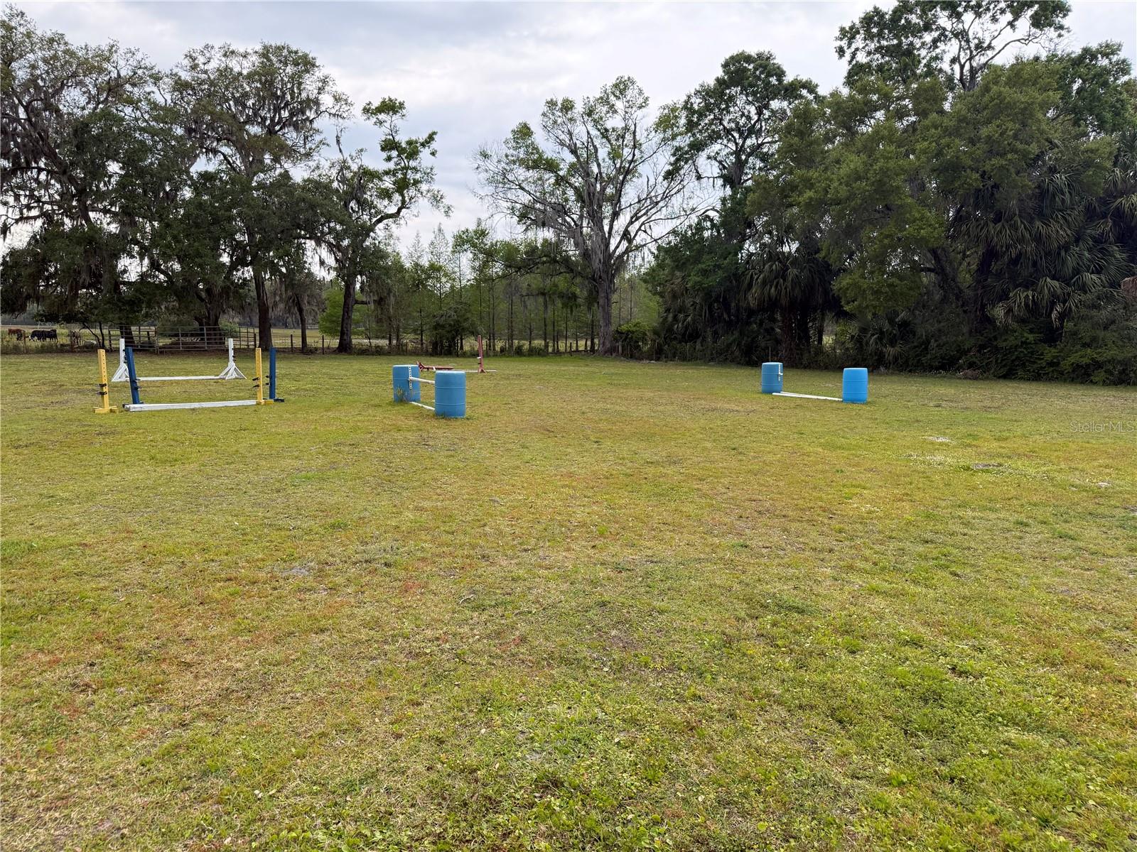 1010 COUNTY ROAD 416N, LAKE PANASOFFKEE, FL, 33538
