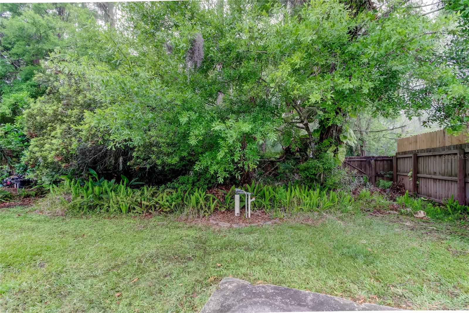 17922 QUAIL LN, LUTZ, FL, 33548